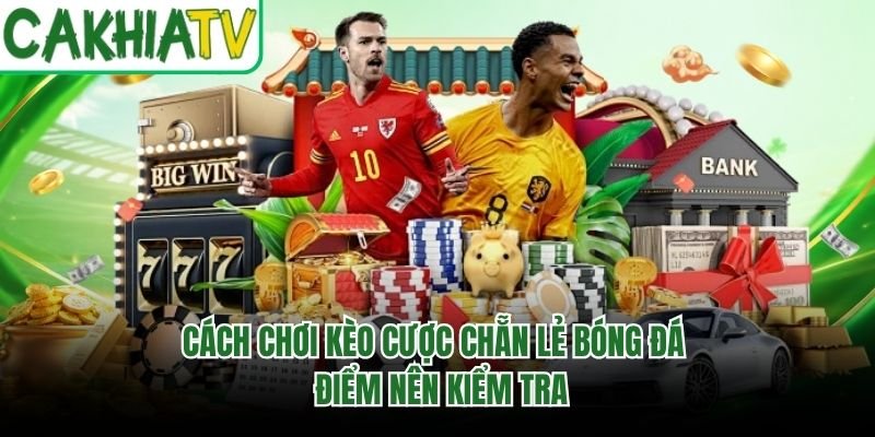 Cách Chơi Kèo Cược Chẵn Lẻ Bóng Đá – Điểm Nên Kiểm Tra